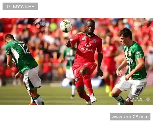 阿德莱德与悉尼FC精彩对决比分直播全程跟踪分析 阿德莱德与悉尼FC精彩对决比分直播全程跟踪分析