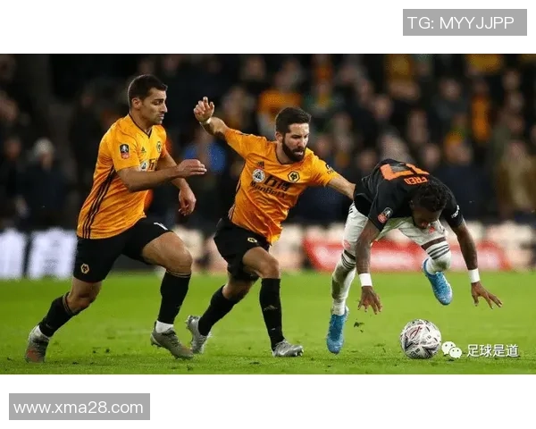 阿尔克马尔青年队与格拉夫夏普精彩直播全程回顾与分析